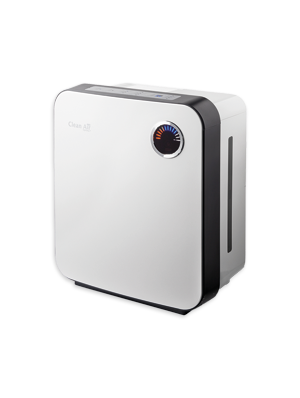 air purifier for pet hair