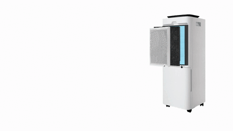 déshumidificateur, humidité, moisissure, air sec, air intérieur, humidité excessive, humidité contrôlée, humidité réglementée, air sain, air pur, air propre, air frais, air confortable, air sain, air sec, air intérieur, humidité contrôlée, humidité réglementée, air pur, air propre, air frais, air confortable, air sain, air sec, air intérieur, humidité contrôlée, humidité réglementée, air pur, air propre, air frais, air comfortable , Clean Air Optima