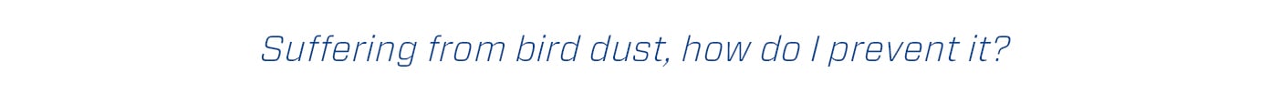 air purifier for dust
