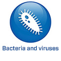 2022 - BE -EN - BS5.2 - Bacteriën/virussen (.be)