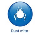 2022 - BE -EN - BS5.8 - Huisstofmijt (.be)