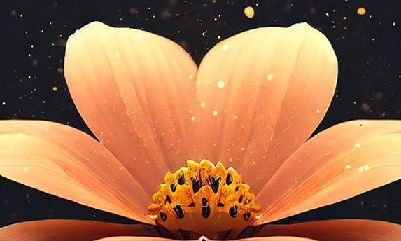 Les symptômes du rhume des foins et des allergies au pollen et comment y faire face