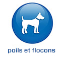 Banner 4.6 - Productadvies - Frans