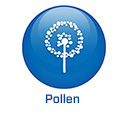 2022 - BE -EN - BS5.4 - Pollen (.be)