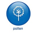 2022 - BE -BS5.4 - Pollen (.be)
